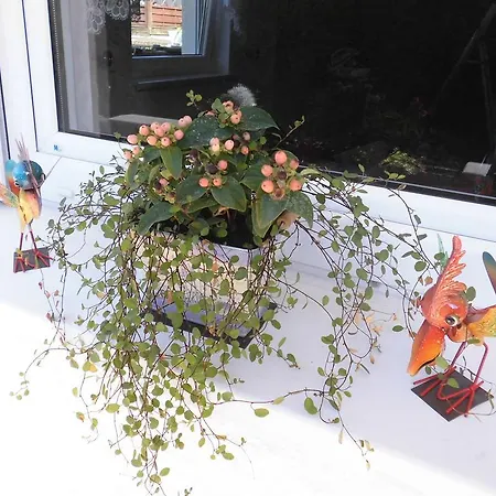 Ferienwohnung Frank 아파트 Berndorf (Vulkaneifel)